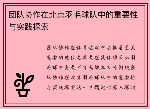 团队协作在北京羽毛球队中的重要性与实践探索